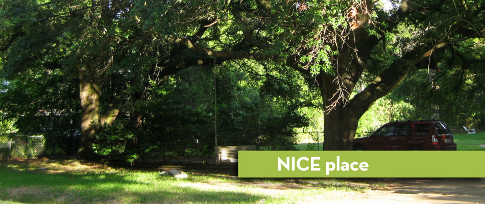 nice-sequence-2b