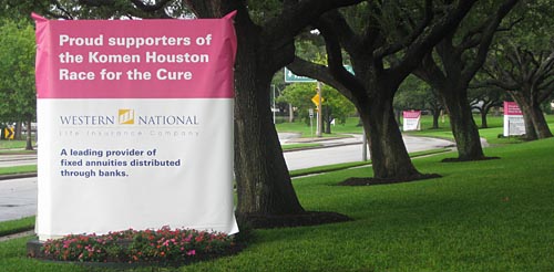 race for the cure race for the cure